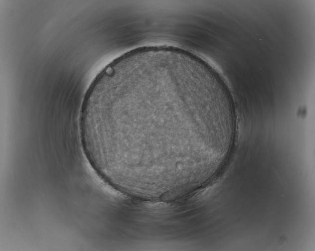 X0000112150943200909041100