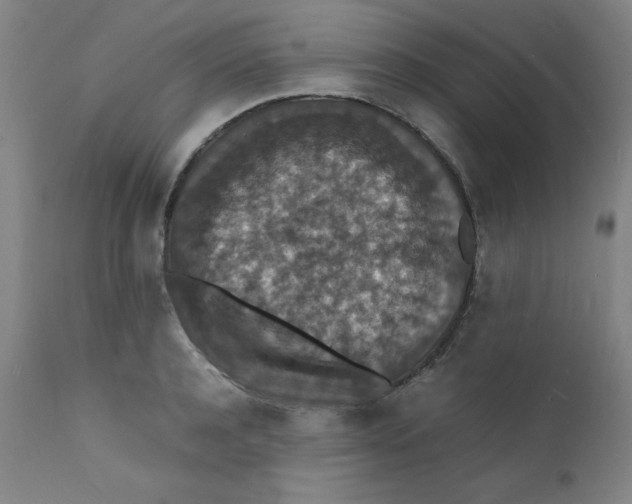 X0000112150944200909041100