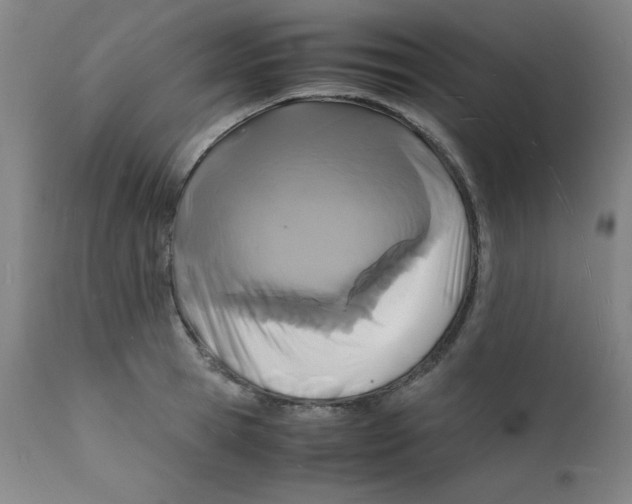 X0000112150945200909041100