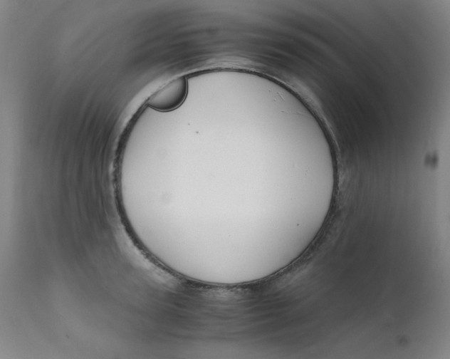 X0000112150947200909041100