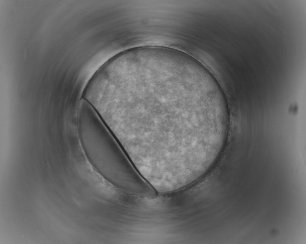 X0000112150948200909041100