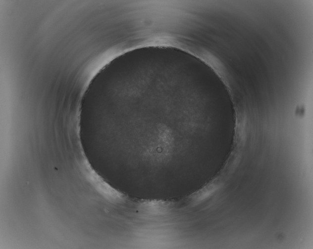 X0000112150950200909041100