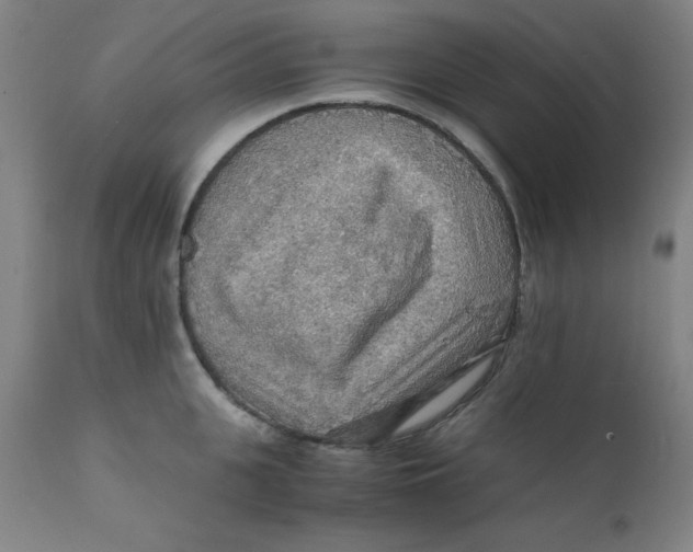 X0000112150951200909041100