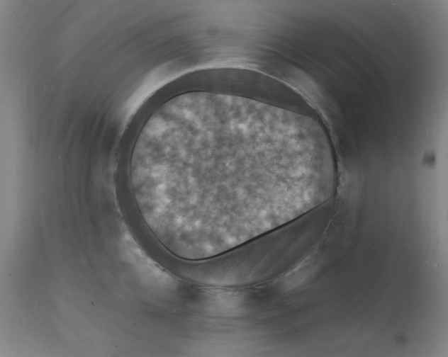 X0000112150952200909041100