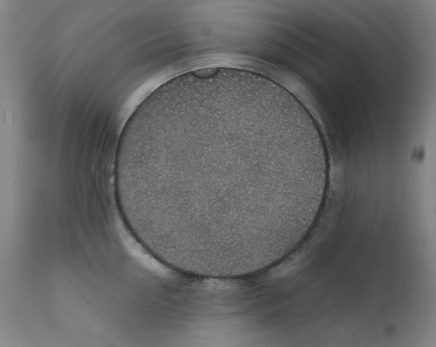 X0000112150954200909041100