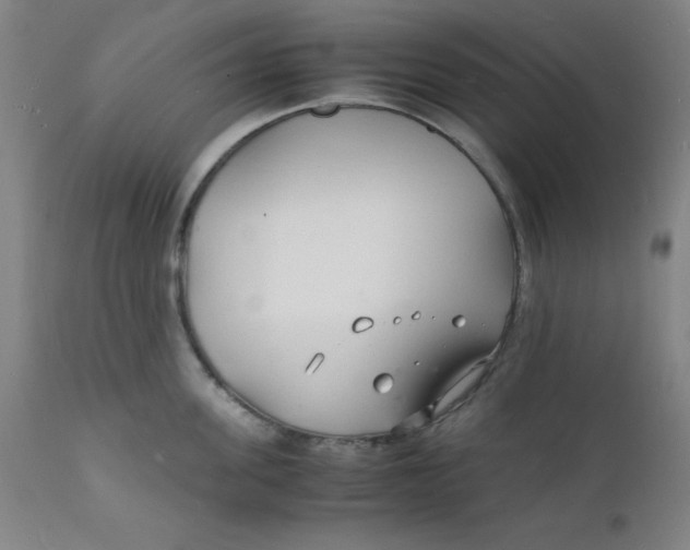 X0000112150955200909041100