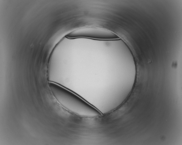 X0000112150956200909041100