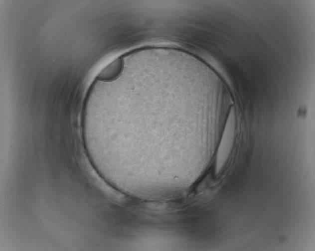 X0000112150959200909041100