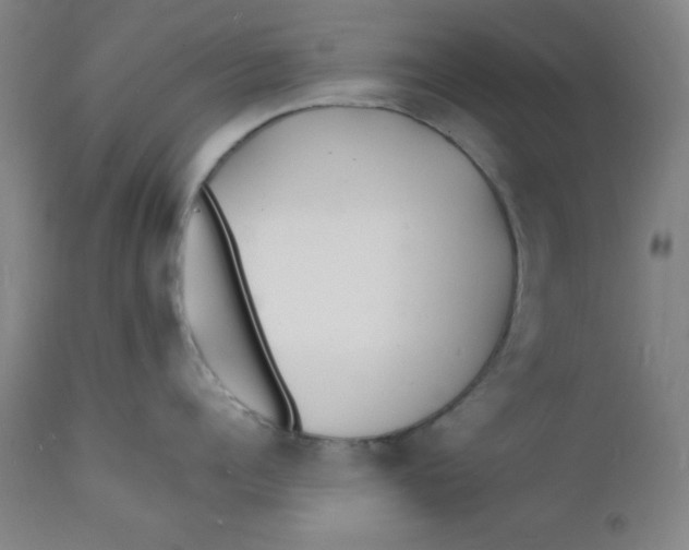 X0000112150960200909041100