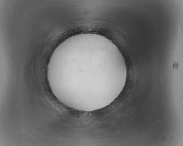 X0000112150961200909041100