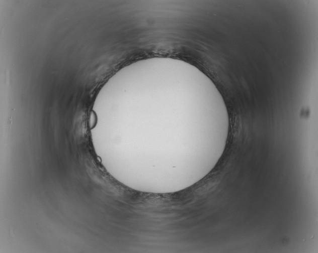 X0000112150962200909041100