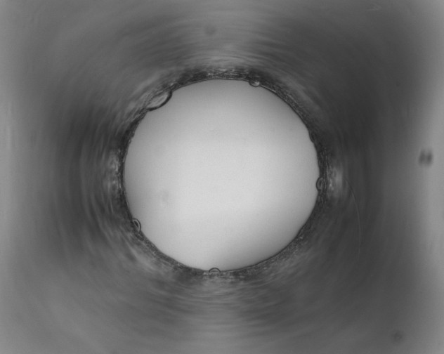 X0000112150964200909041100