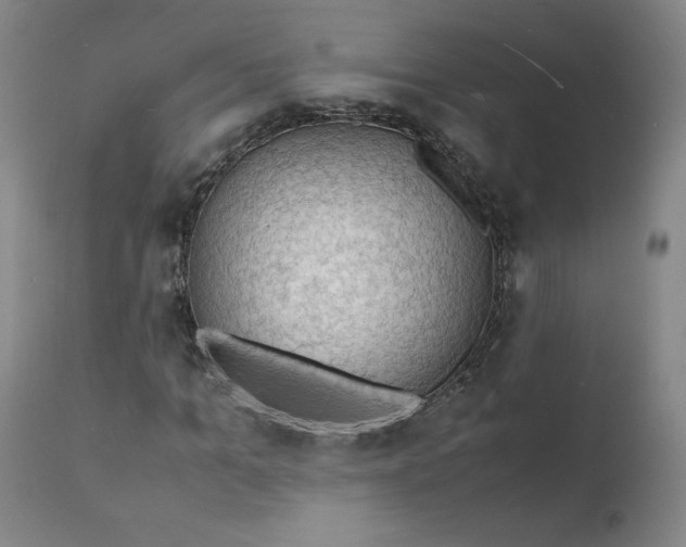 X0000112150965200909041100