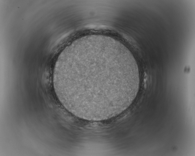 X0000112150966200909041100