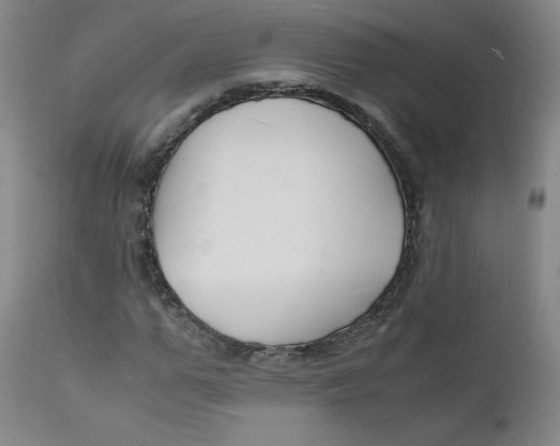 X0000112150967200909041100