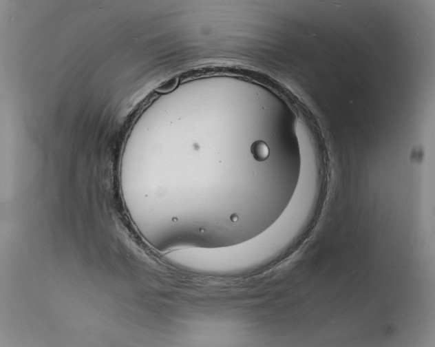 X0000112150969200909041100