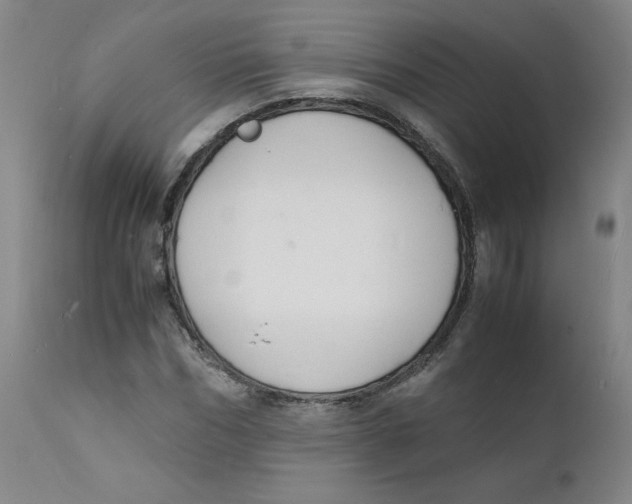 X0000112150970200909041059