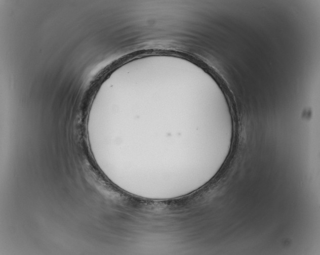 X0000112150971200909041059