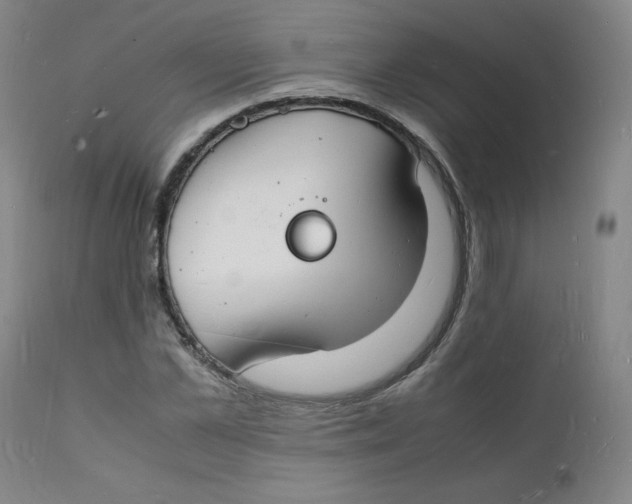 X0000112150973200909041059