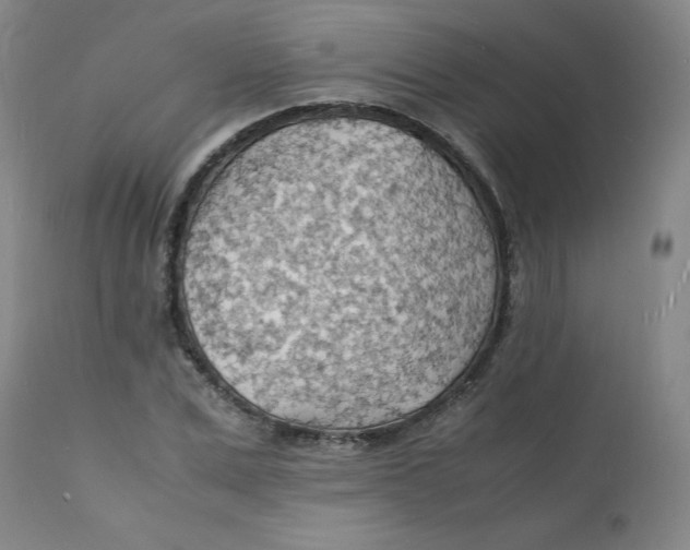 X0000112150975200909041059