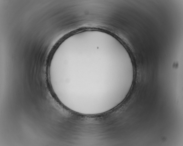 X0000112150976200909041059