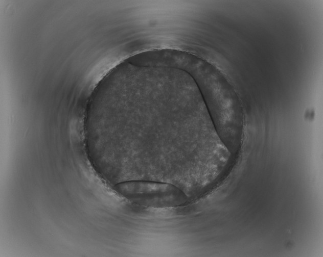 X0000112150977200909041059