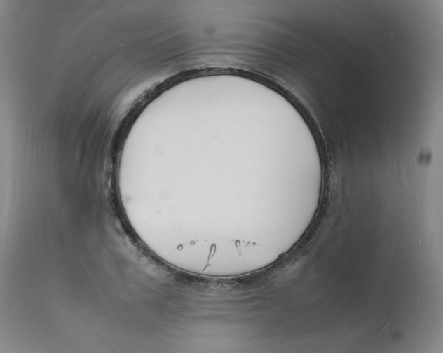 X0000112150979200909041059