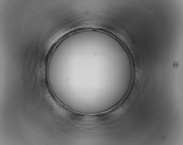 X0000112150981200909041059