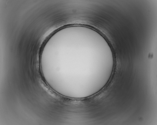 X0000112150982200909041059