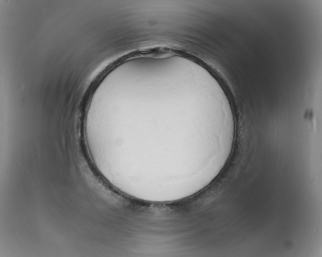 X0000112150983200909041059