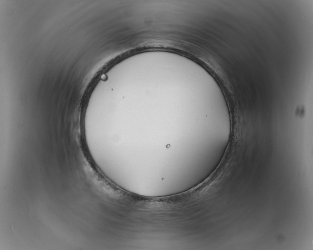 X0000112150984200909041059