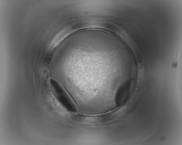 X0000112150985200909041059