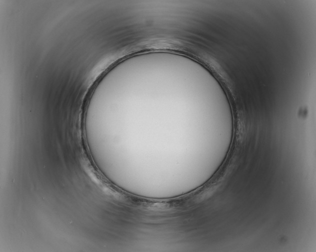 X0000112150986200909041059