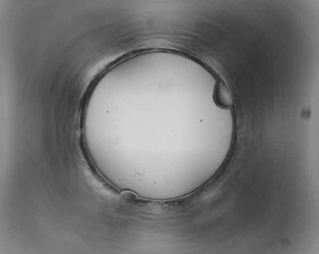 X0000112150987200909041059