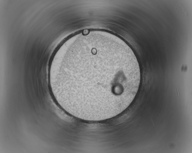 X0000112150988200909041059