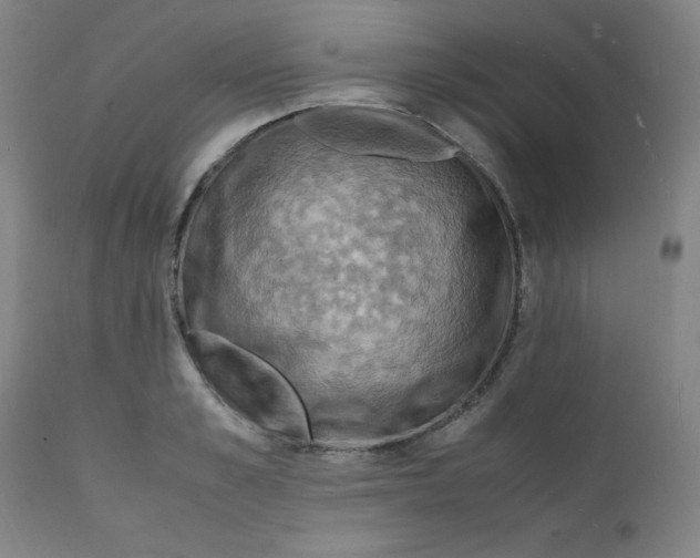 X0000112150989200909041059