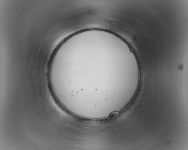 X0000112150991200909041059