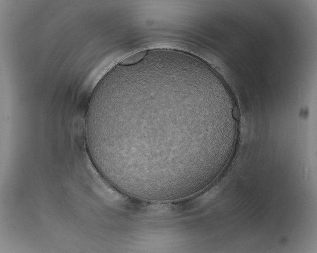 X0000112150993200909041059