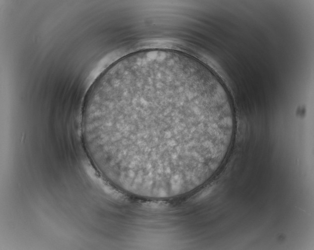 X0000112150994200909041059