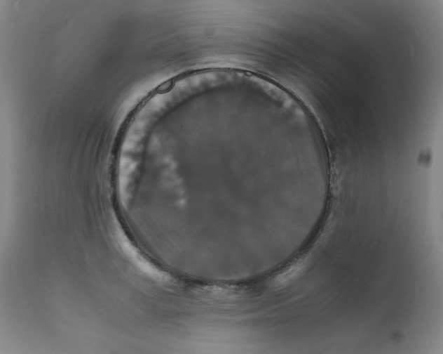 X0000112150995200909041059