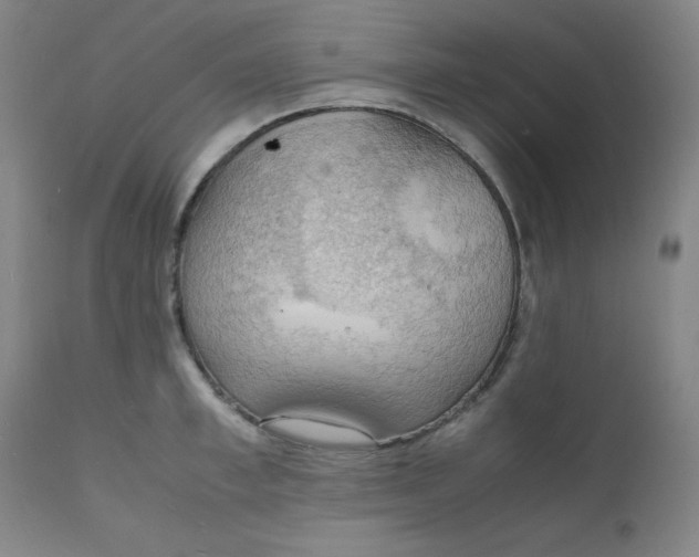 X0000112150997200909041059