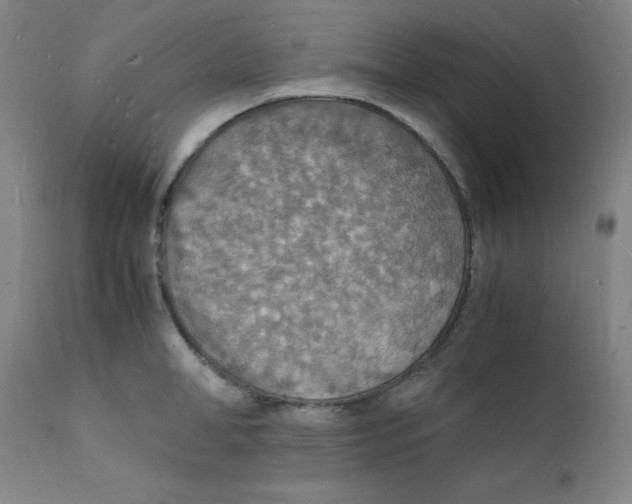 X0000112150998200909041059