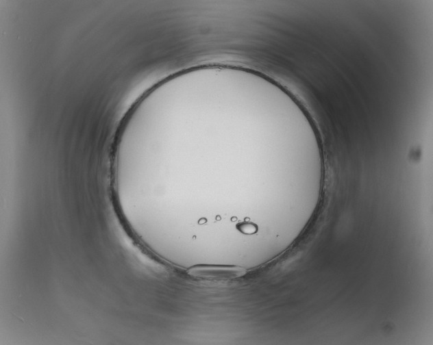 X0000112150999200909041059