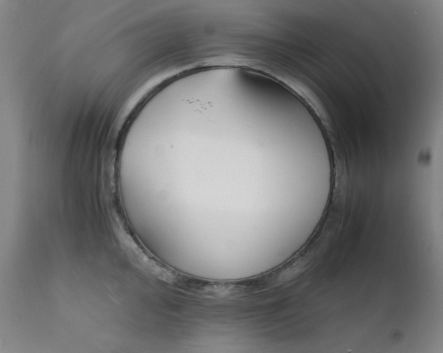 X0000112151000200909041059