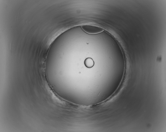 X0000112151001200909041059