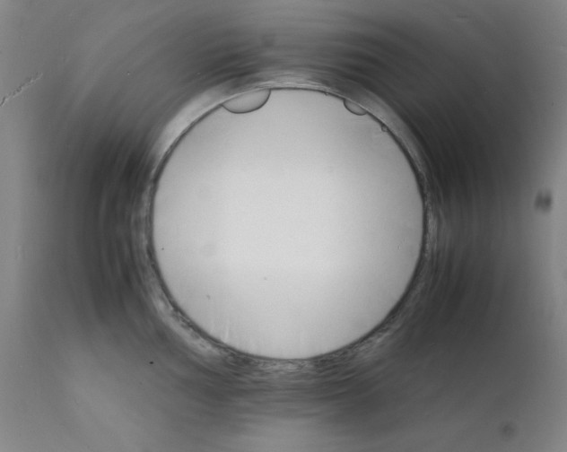 X0000112151002200909041059