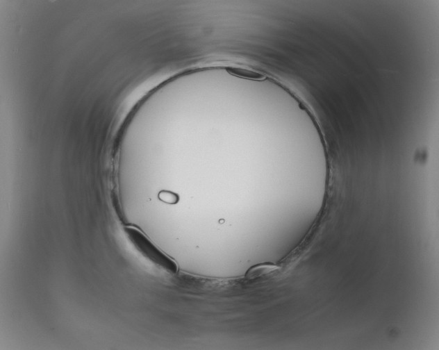 X0000112151003200909041059