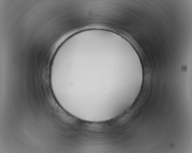 X0000112151004200909041059