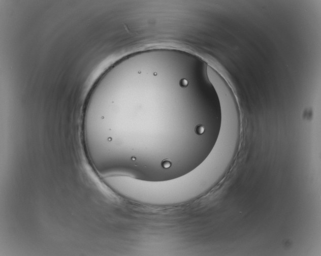 X0000112151005200909041059