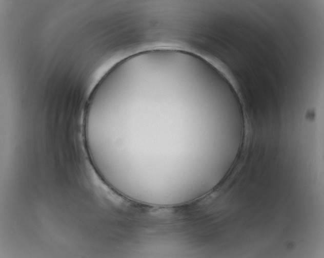 X0000112151006200909041059